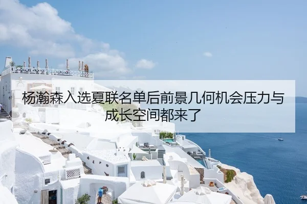 杨瀚森入选夏联名单后前景几何机会压力与成长空间都来了